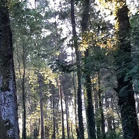 Les De Roquehort Luxury tent
