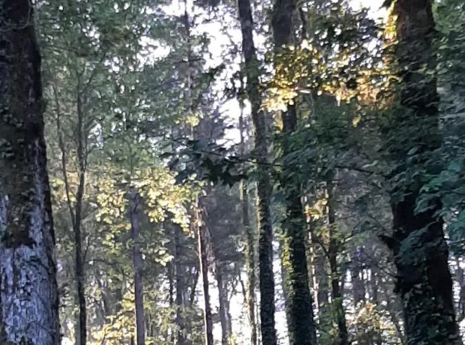 Les De Roquehort Luxussátor