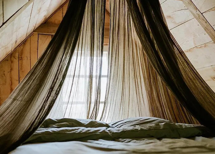 Les De Roquehort * Salies-de-Béarn