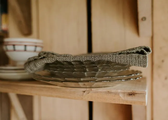 Les De Roquehort Salies-de-Béarn