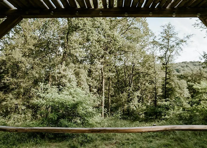 Les De Roquehort * Salies-de-Béarn